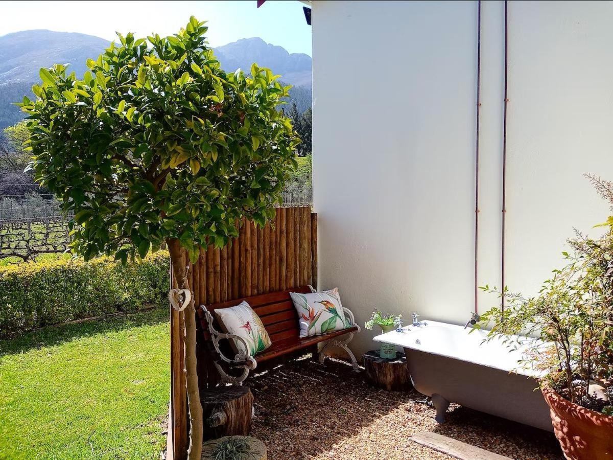Olive And Vine Farm Cottage Франсхук Номер фото